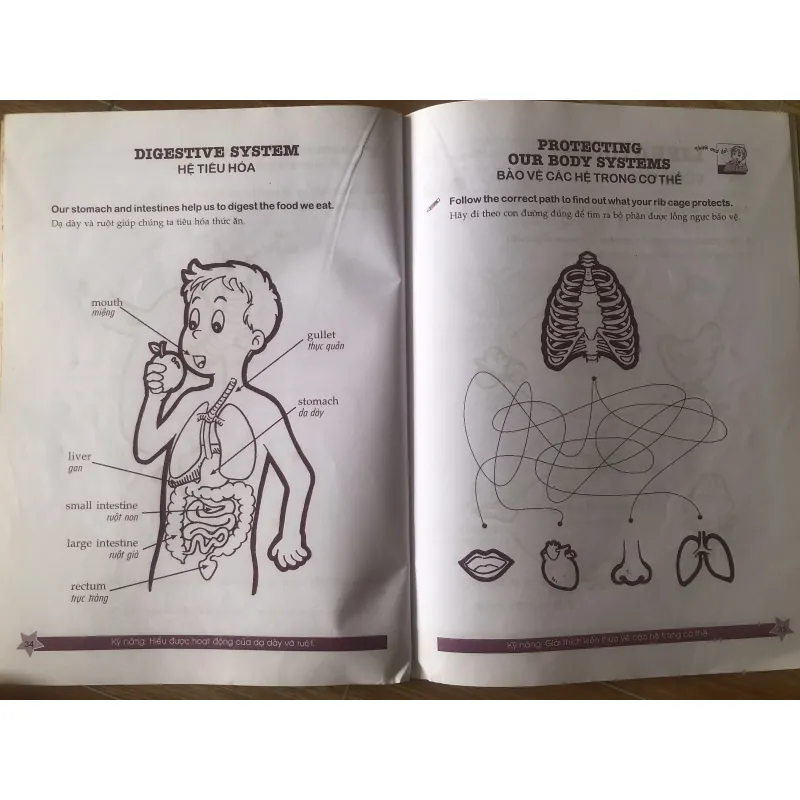 Cùng khám phá tiếng anh - Môi trường Sống - 3A 1004065