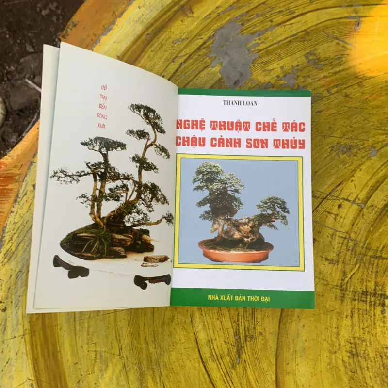  NGHỆ THUẬT CHẾ TÁC CHẬU CẢNH SƠN THUỶ- THANH LOAN 759665