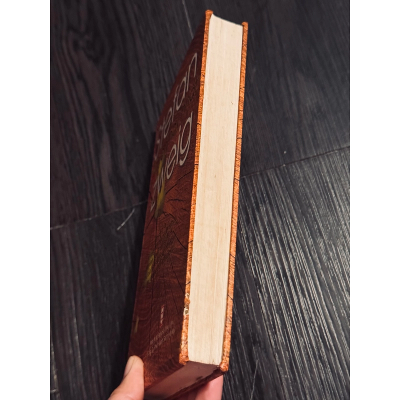 5 truyện hay nhất Stefan Zweig 524745