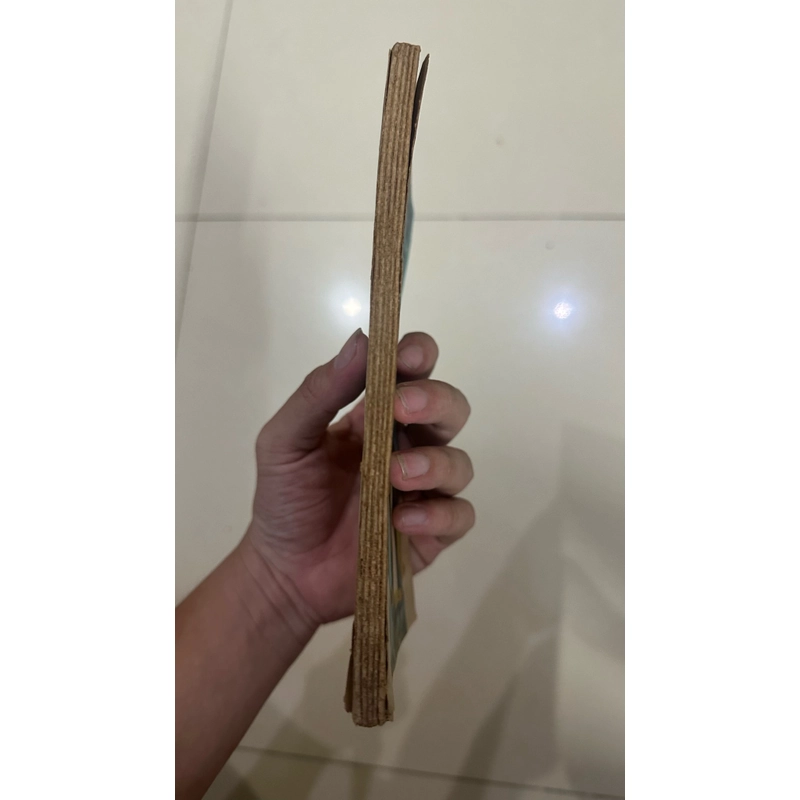 BÀI CA TRONG HẺM - THY NGỌC (SÁCH HAY CHO THIẾU NHI)   452295
