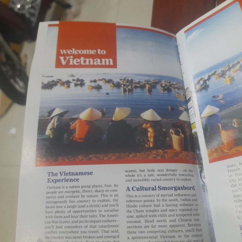 lonely planet - VIETNAM (sách hướng dẫn du lịch) 476852