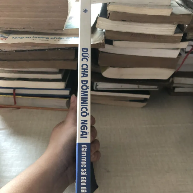 Đức cha Đôminico Ngãi-Giám mục Sài Gòn đầu tiên 976033