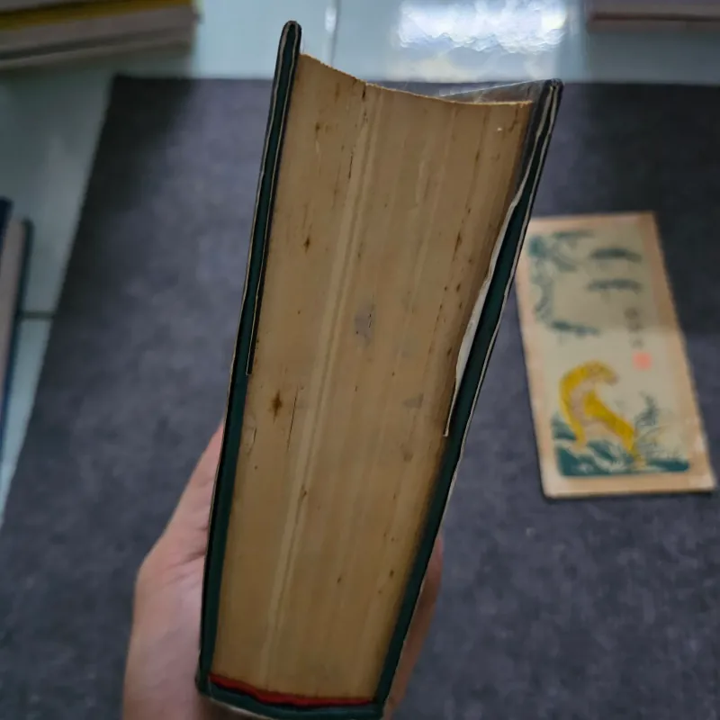 Hành trình sang Đông phương 745497