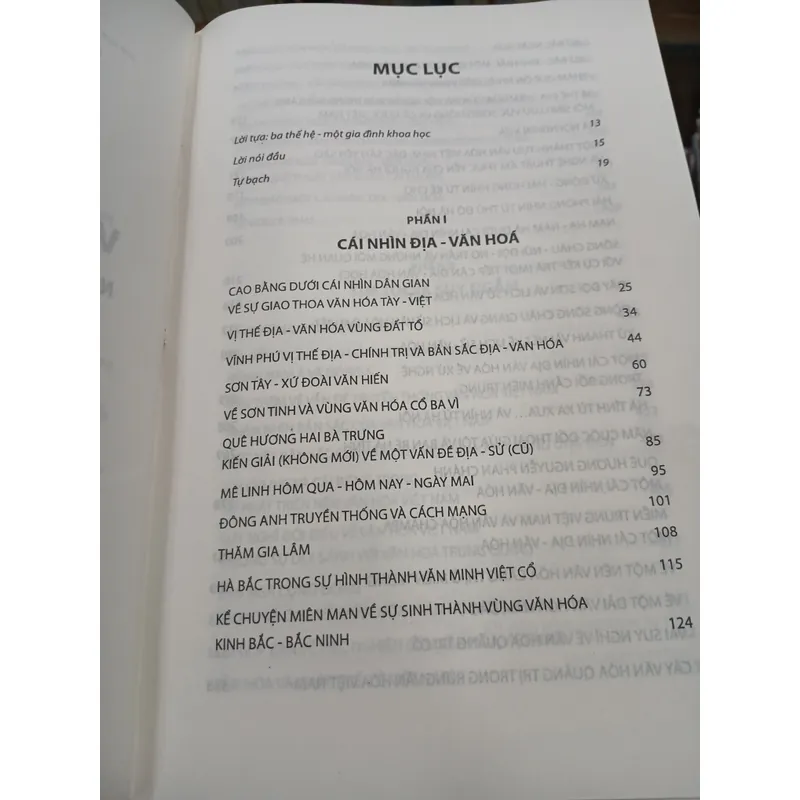 VĂN HÓA VIỆT NAM NHỮNG HƯỚNG TIẾP CẬN LIÊN NGÀNH 720842