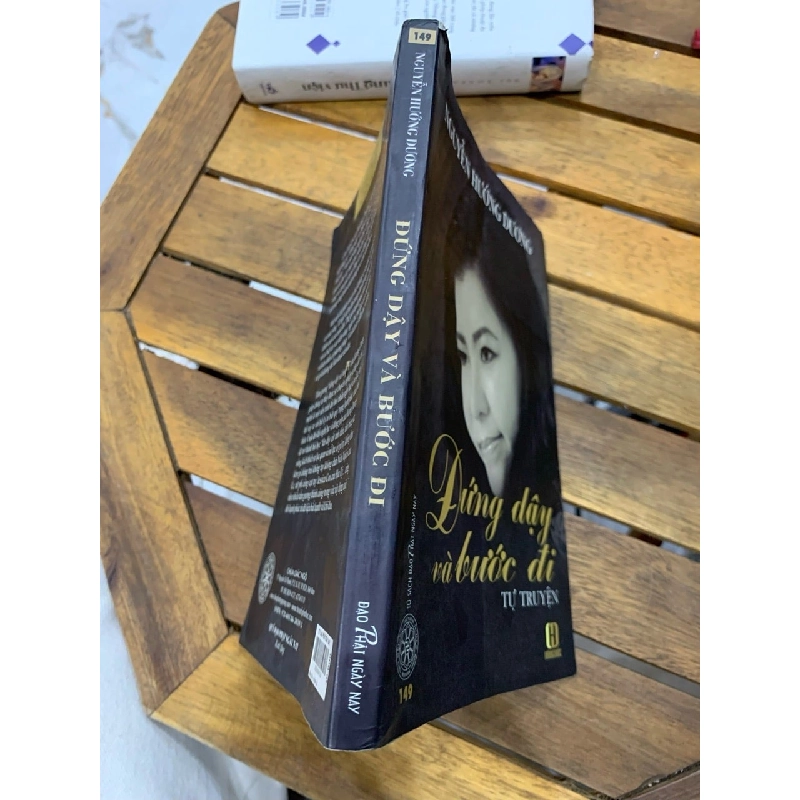 đứng dậy và bước đi -Nguyễn Hướng Dương 746250