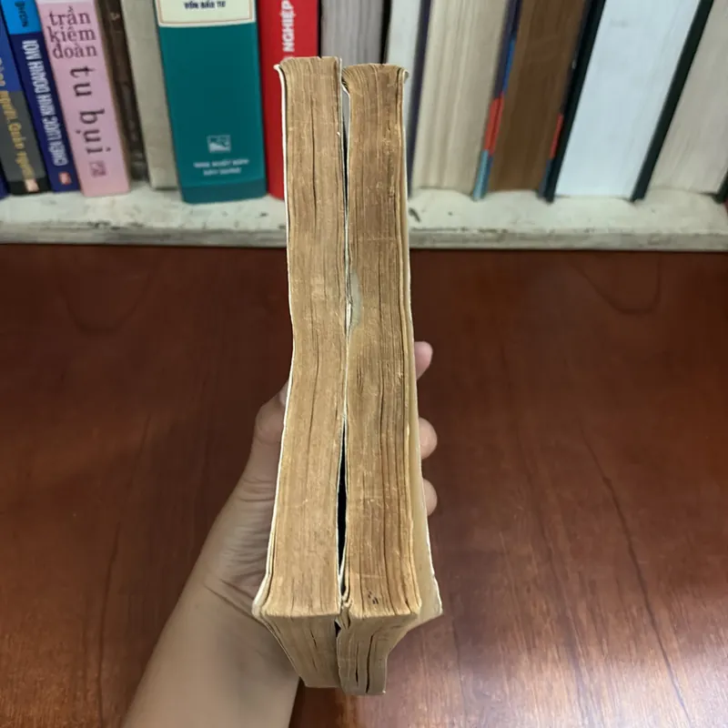 II Sách Xưa: Lịch Sử Thế Giới Cổ Đại (2 Tập) - Chiêm Tế - 1977 622888