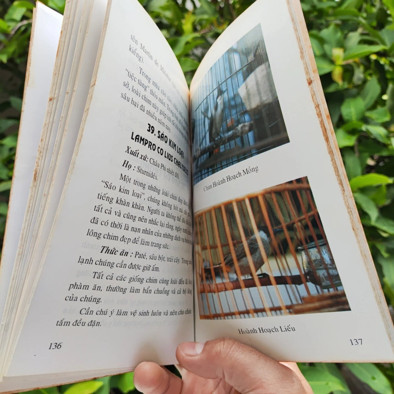 Kỹ Thuật Nuôi Dạy Các Loài Chim - Lê Thanh - Nhã Uyên 532118
