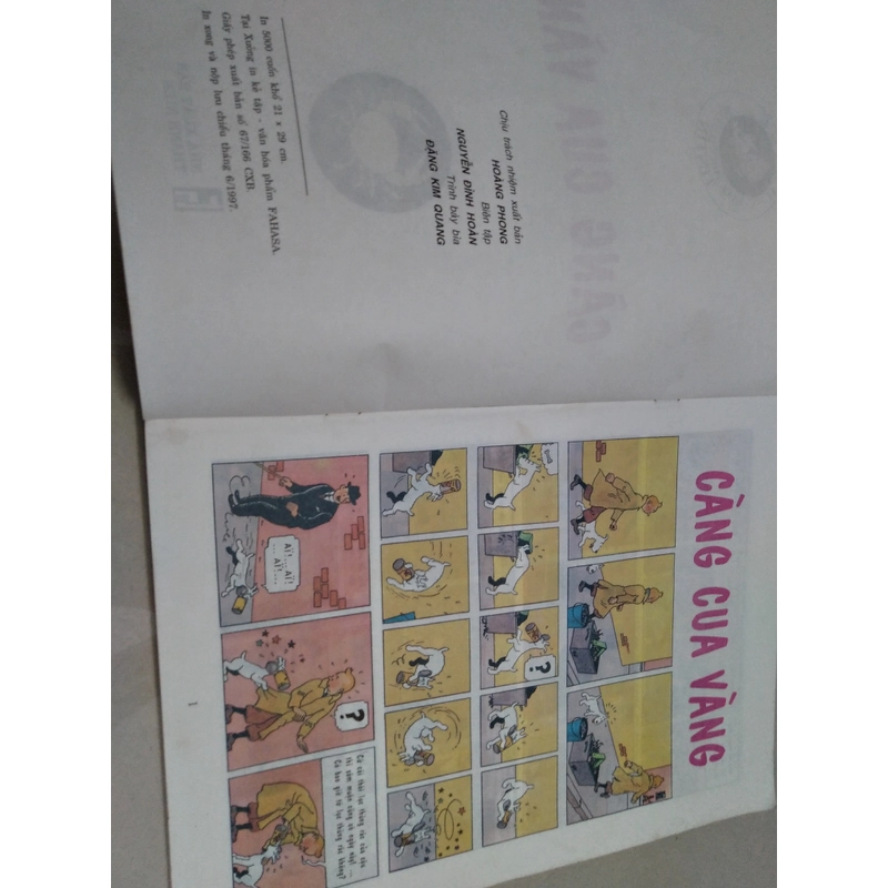 Tintin càng cua vàng  502825
