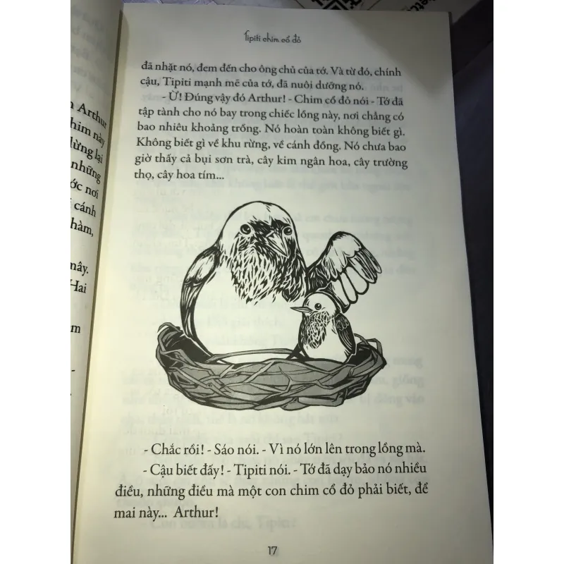 Tipiti chim cổ đỏ 926747