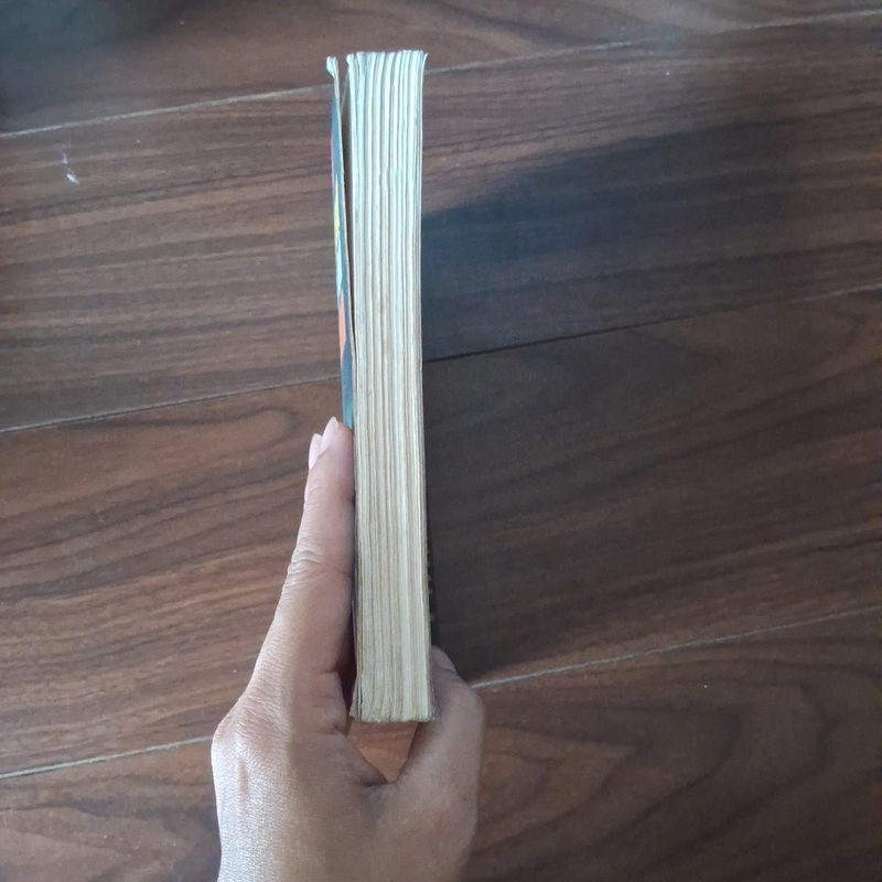 Con gái cảnh sát sa lưới Aphetamin 524615