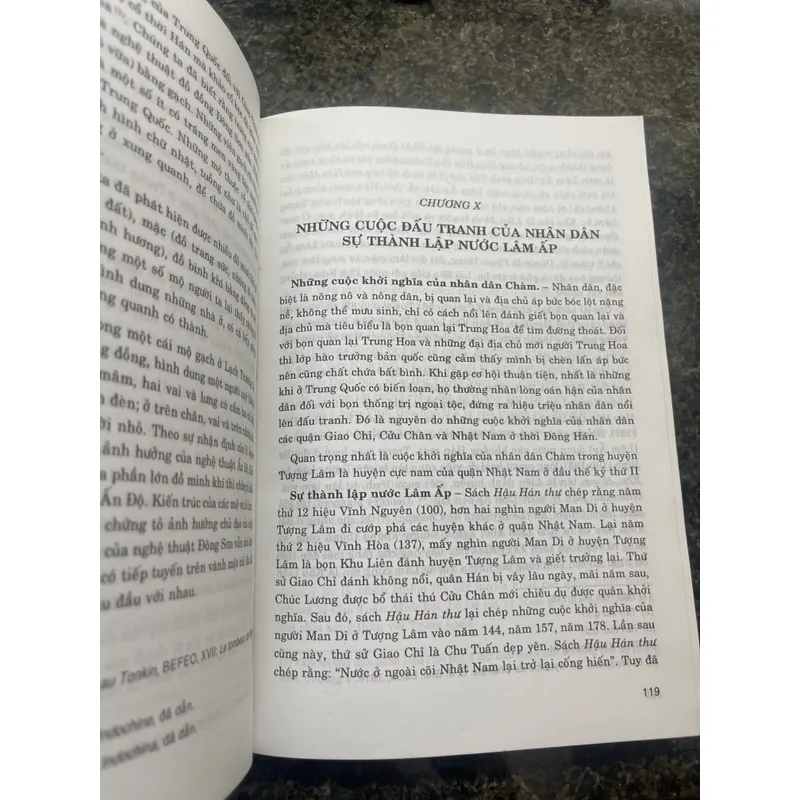 Lịch sử Việt Nam Từ nguồn gốc đến thế kỷ XIX Đào Duy Anh 713315