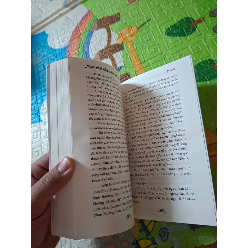 Hạnh phúc không dành cho tình nhân 1000063