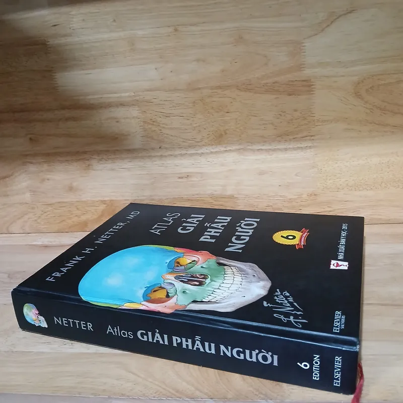 Atlas Giải Phẫu Người (Ấn Bản Lần Thứ 6) - Frank H. Netter, MD 570689