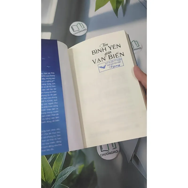 Tìm Bình Yên Giữa Vạn Biến - Dave Braun & Troy Amdahl 961253