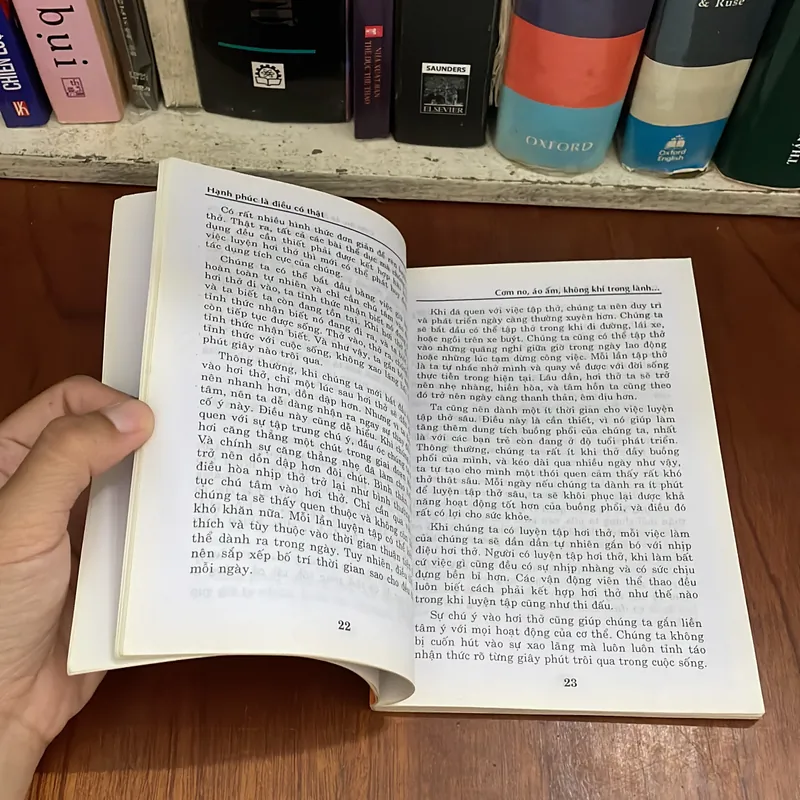 II Tựa sách: Hạnh Phúc Là Điều Có Thật (Mạch Sống Nguồn Vui) - Nguyễn Minh Tiến - 2004 558239