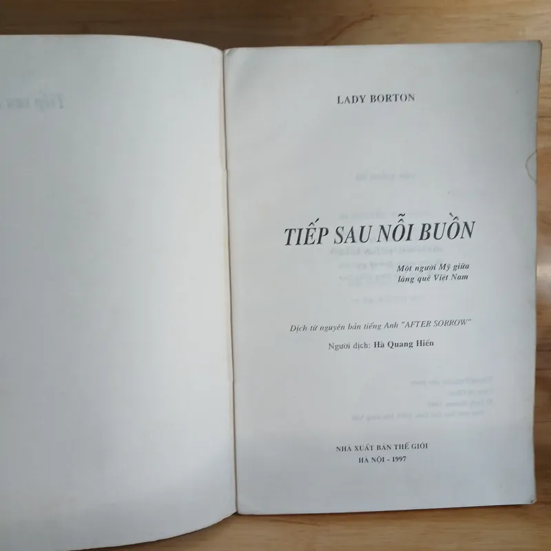 Tiếp Sau Nỗi Buồn (Một Người Mỹ Giữa Làng Quê Việt Nam) - Lady Borton 736948
