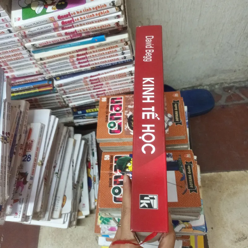 Kinh Tế Học - David Begg 696623