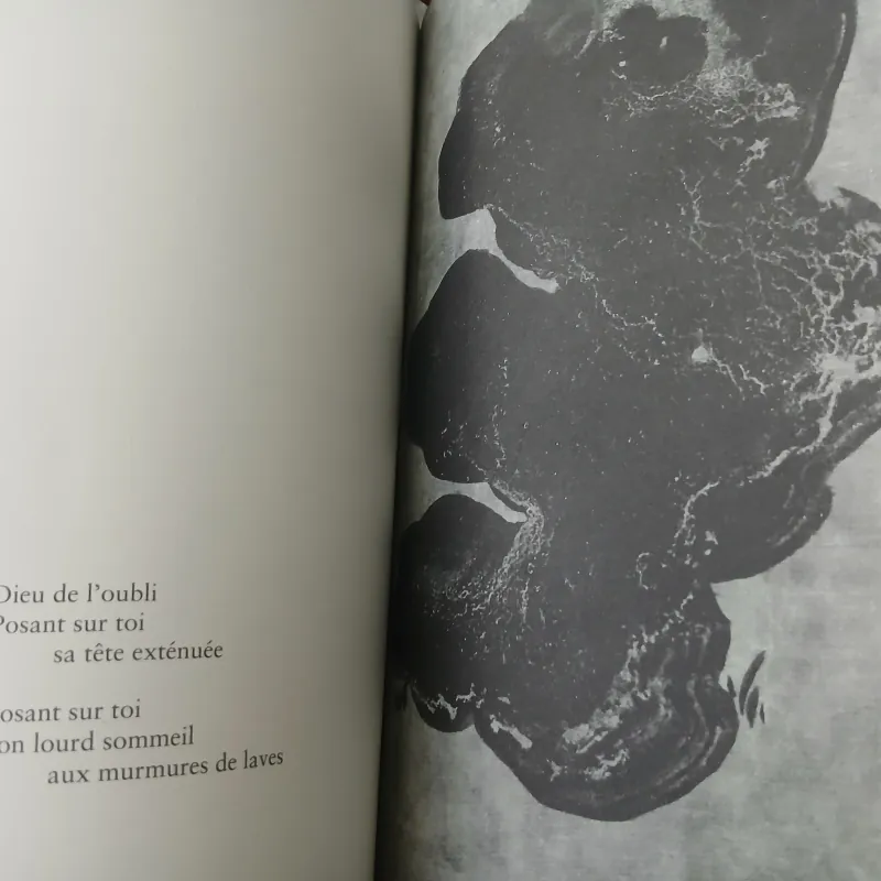 QUAND LES PIERRES FONT SIGNE (KHI ĐÁ BÁO HIỆU) -  FRANÇOIS CHENG, FABIENNE VERDIER 752672