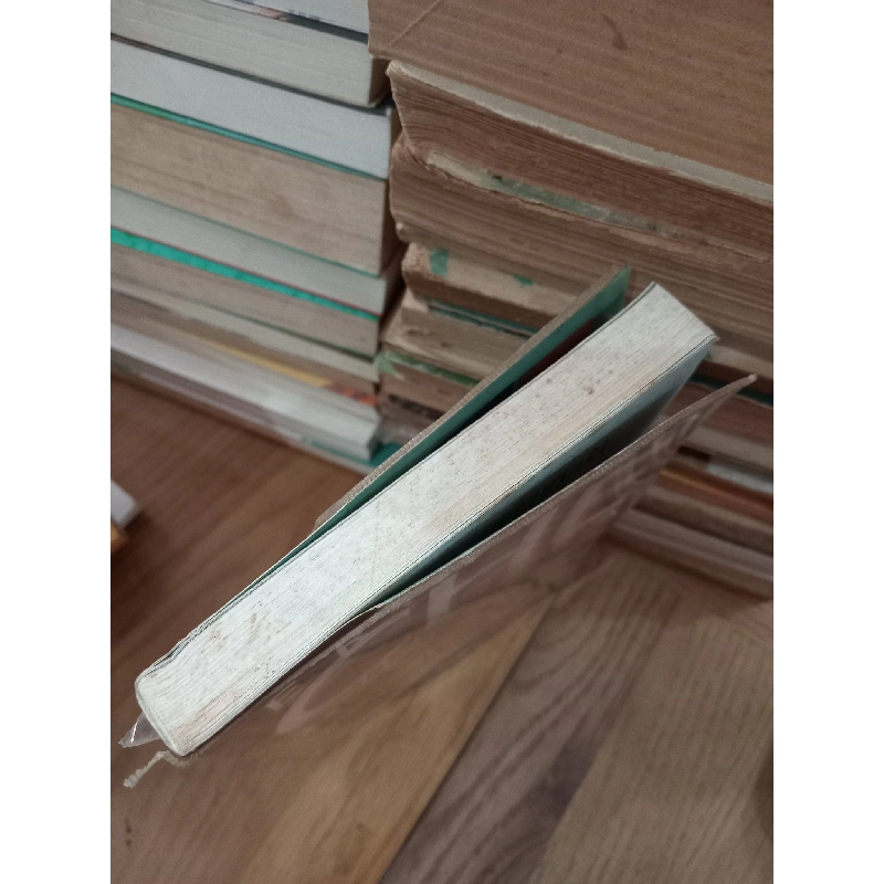 Nhật ký hành trình: xuyên Châu Mỹ La Tinh bằng xe gắn máy - Che Guevara 493745