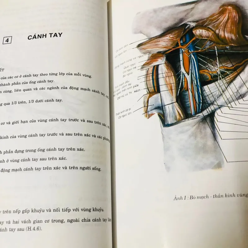 BỘ 2 TẬP GIẢI PHẪU HỌC  799609