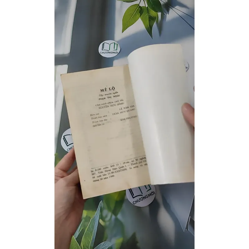 [MIỄN PHÍ BỌC SÁCH] [XƯA] Mê Lộ (1989) - Phạm Thị Hoài 997663
