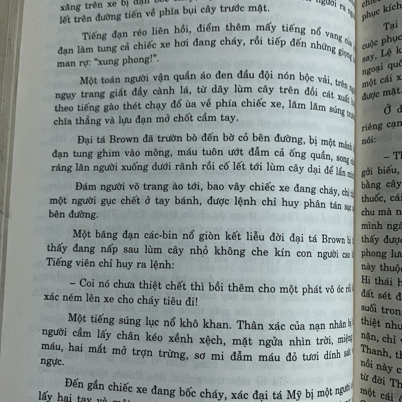 Đệ Nhất Phu Nhân Trần Lệ Xuân (tiểu thuyết) 186280