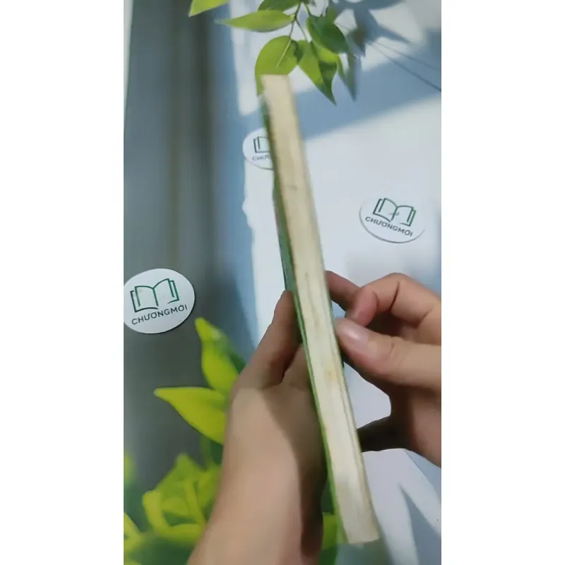 Phương Pháp Montessori - Nghệ Thuật Nuôi Dạy Trẻ Đỉnh Cao 705669