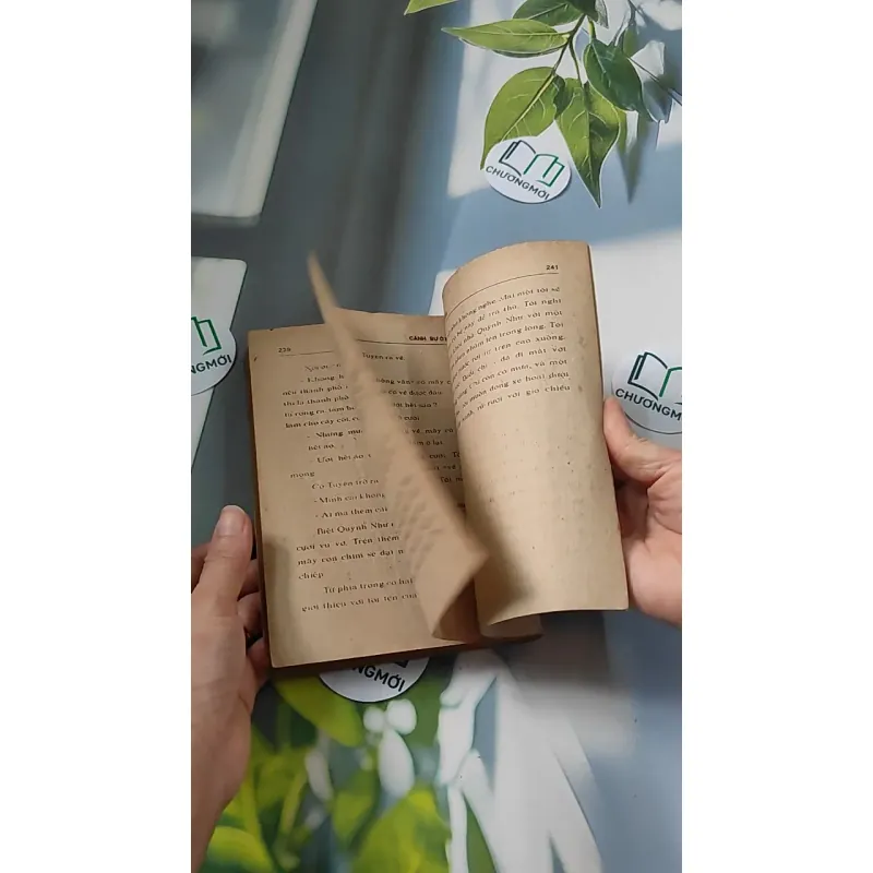 [XƯA] Cánh Bướm (1989) - Từ Kế Tường 776073