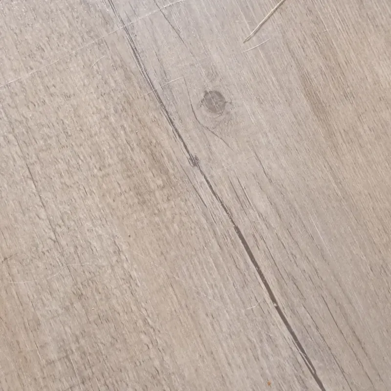 Sáu lần gặp người đứng đầu nước Nga V. putin 697956