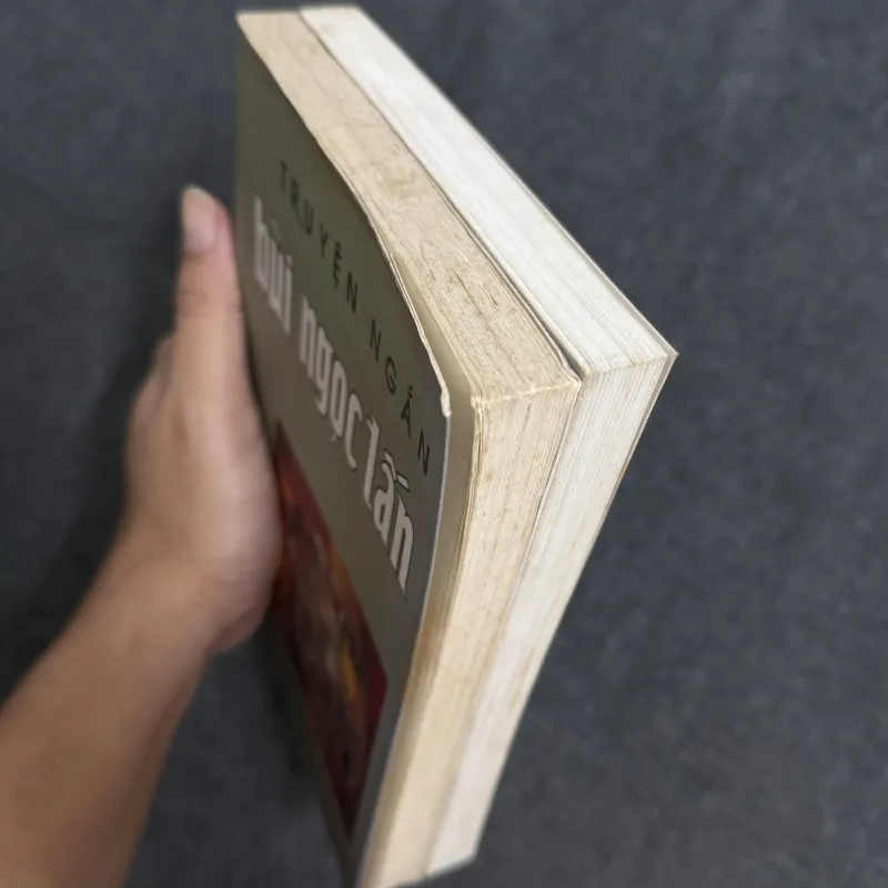 Truyện ngắn Bùi Ngọc Tấn, Người ở cực bên kia - Bùi Ngọc Tấn 782416