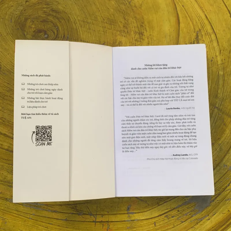 NIỀM VUI CỦA ĐỨA TRẺ KHÁC BIỆT - CAROL STOCK KRANOWITZ, M.A. 787947