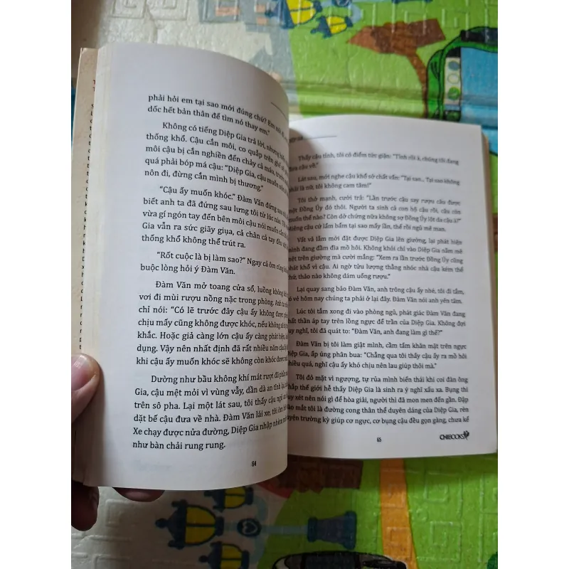 Diệp Gia - Triệt Dạ Lưu Hương 790393