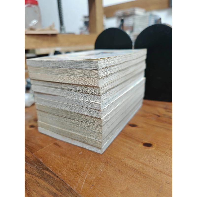 Truyện tranh Mảnh Ghép - Inoue Kazurou 119468