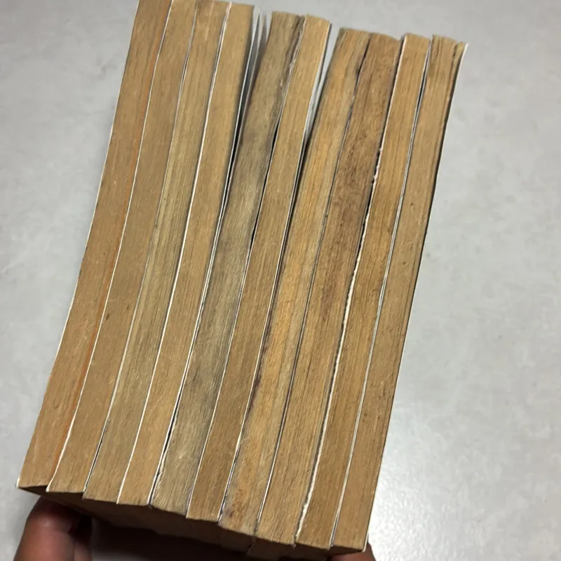 Tứ quái TKKG - Stefan Wolf (10 cuốn) 777764