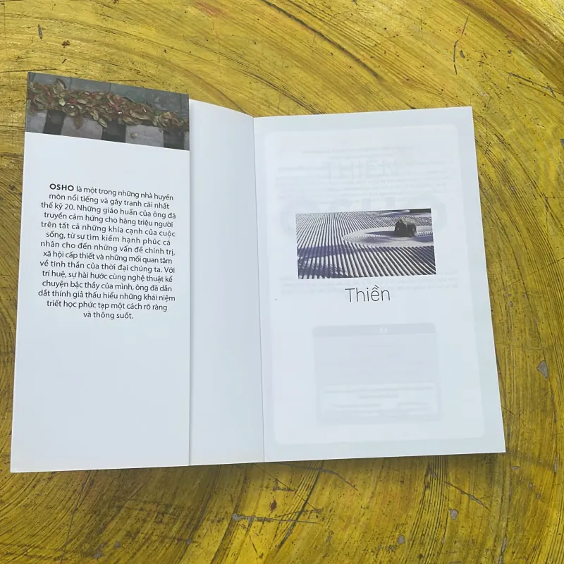 COMBO OSHO: THIỀN & YÊU  754687