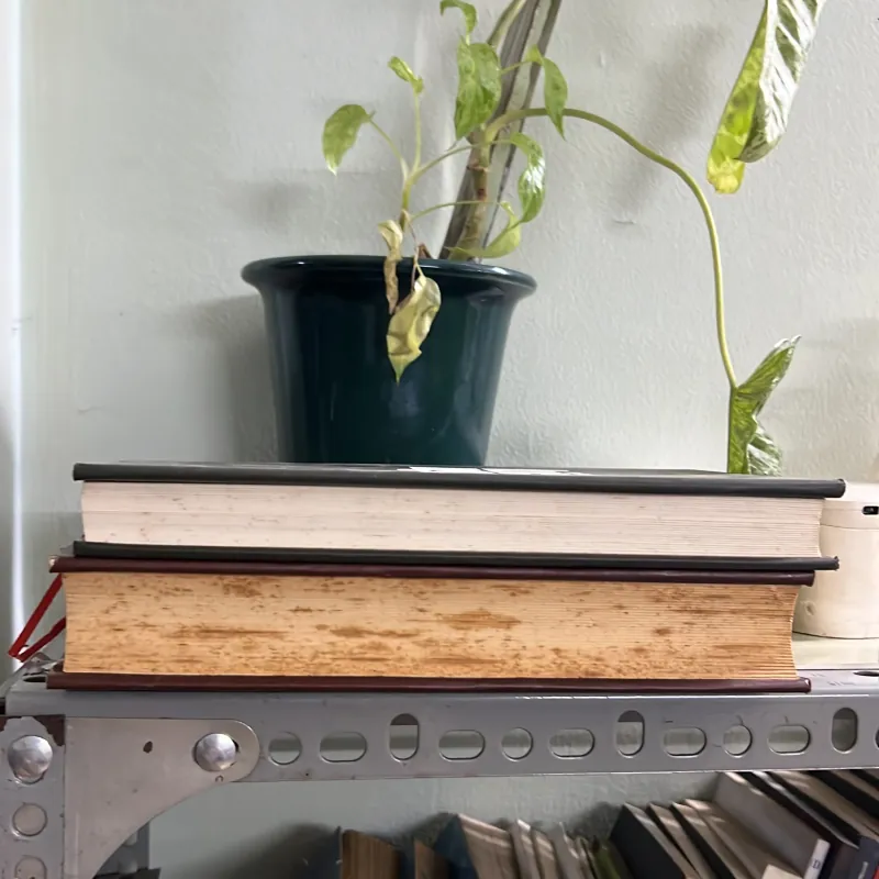 Kiếp người  - Hữu Ước 2 quyển Bìa cứng 746087