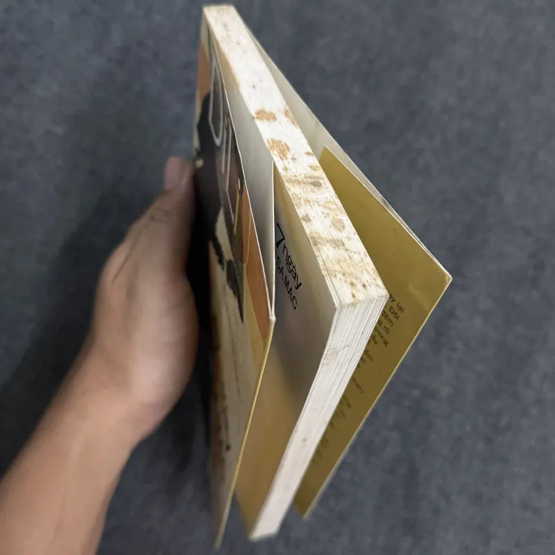 7 ngày trên sa mạc - DiLi 1035465