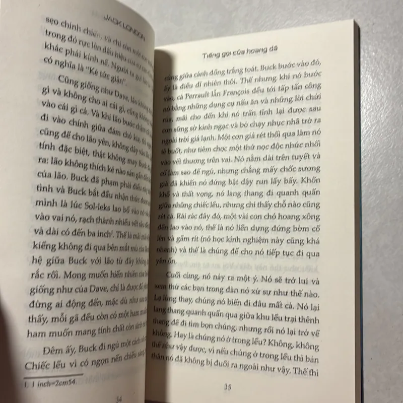 Tiếng gọi của hoang dã - Jack London 797543