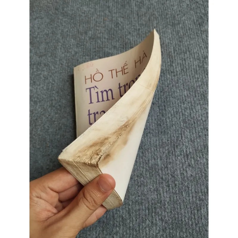 TÌM TRONG TRANG VIẾT - HỒ THẾ HÀ 570996