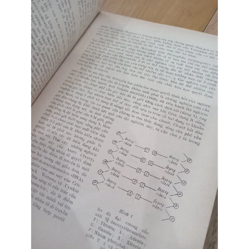 Bệnh lý phân tử - G.s. Antôni Hoóc 574560