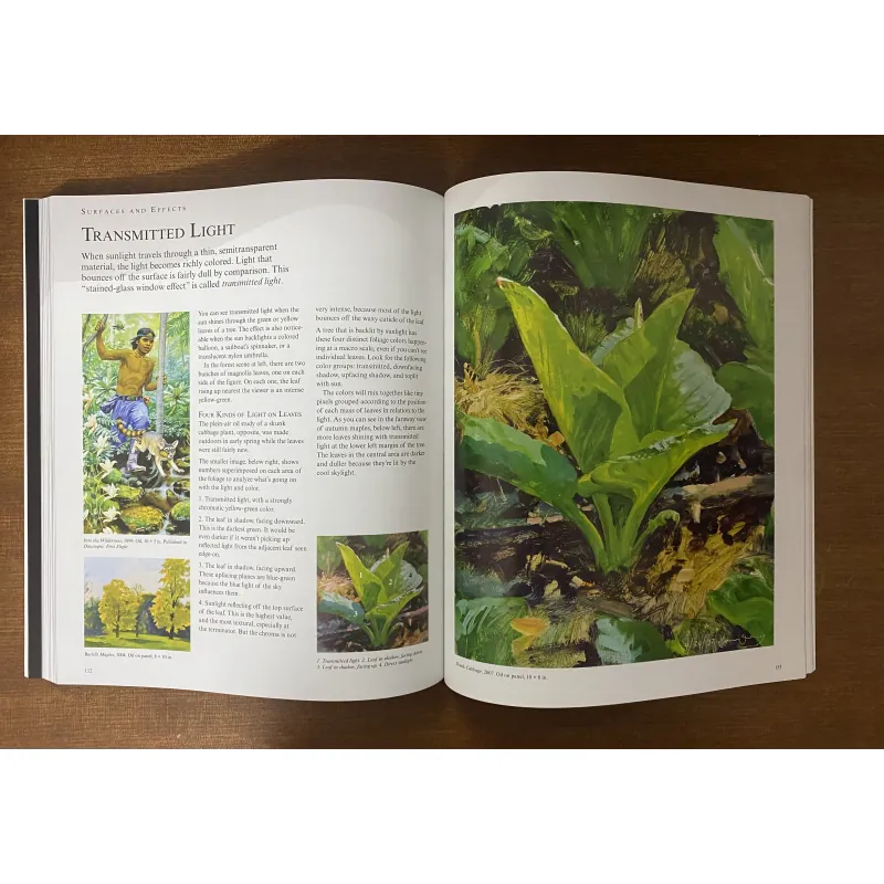 Color and Light: A Guide for the Realist Painter - James Gurney, tg loạt truyện Dinot 1023844