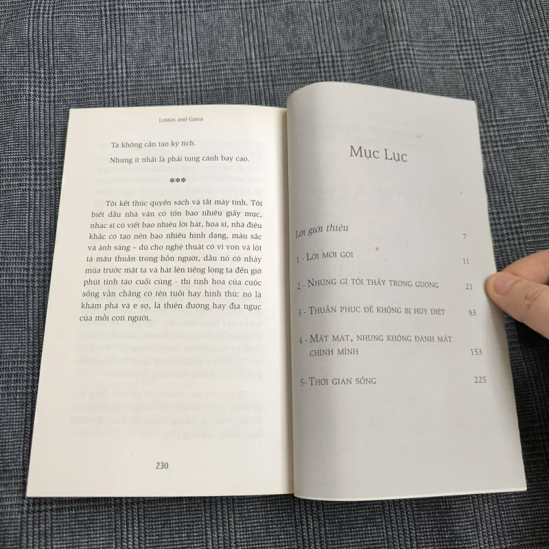 Lẽ Được Mất: Cuốn Sách Hóa Giải Những Khổ Đau Của Bạn! (Loses and Gains) - Lya Luft 557580