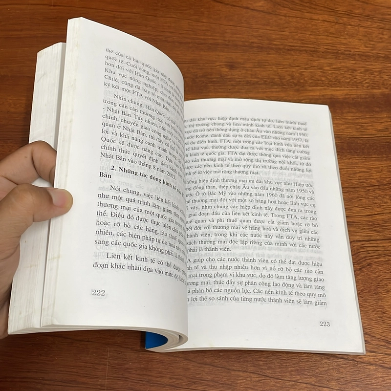 II Đối Sách Của Các Nước Đông Á Trước Việc Hình Thành Các Khu Vực Mậu Dịch Tự Do (FTA) 507805