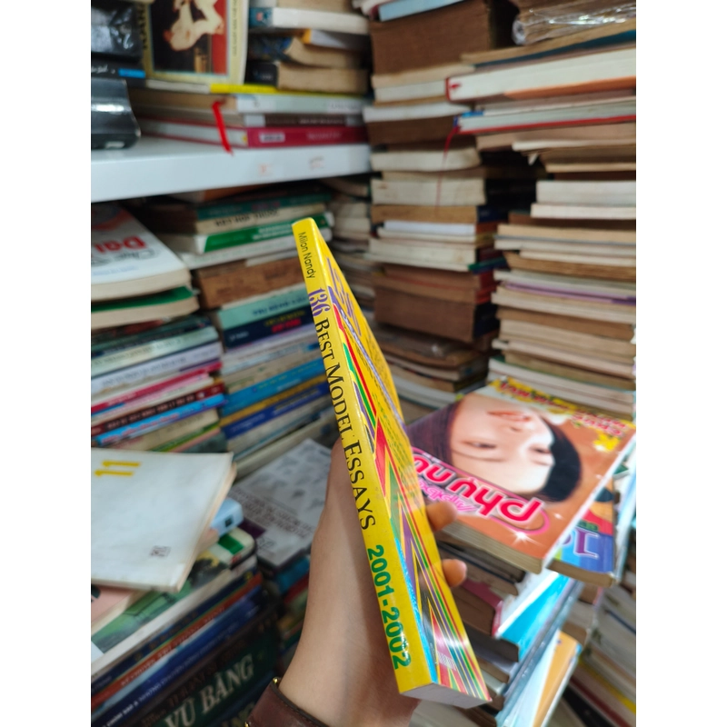 136 Best Model Essays 🌱 545517