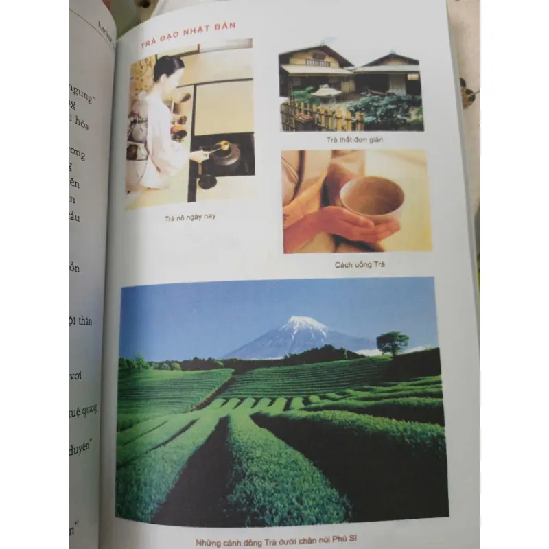 LỤC BÁT TRÀ - PHẠM VĂN SAU 711672