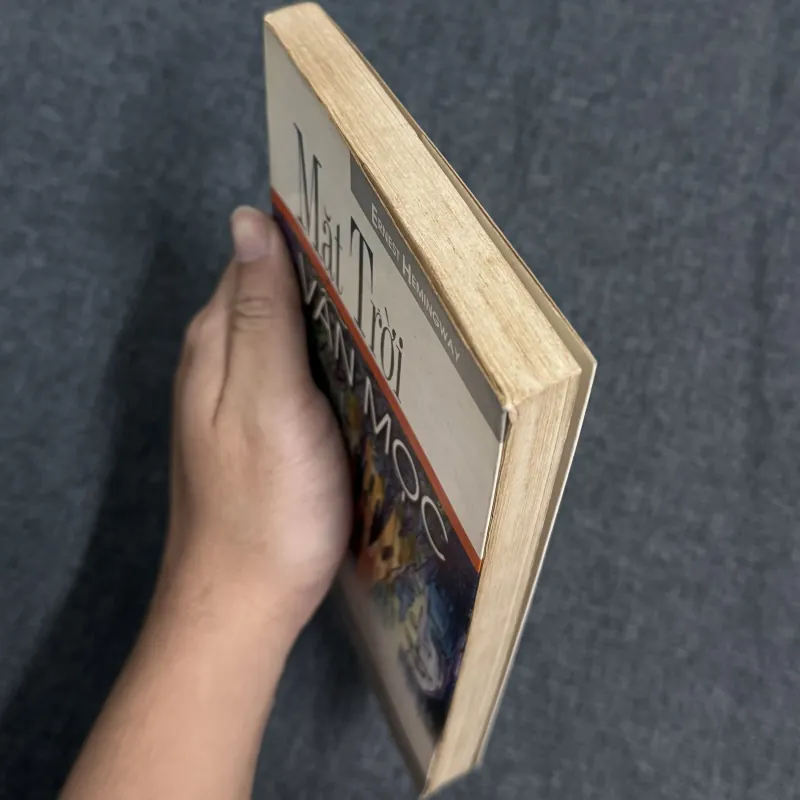 Mặt trời vẫn mọc - Ernest Hemingway 907816