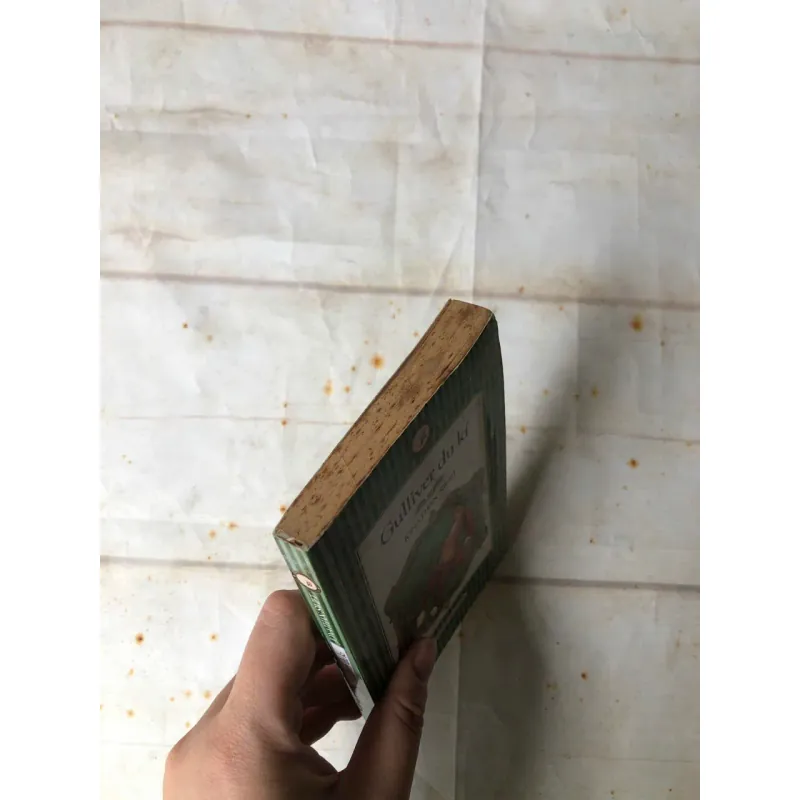 Gulliver Du Ký - Jonathan Swift 800587