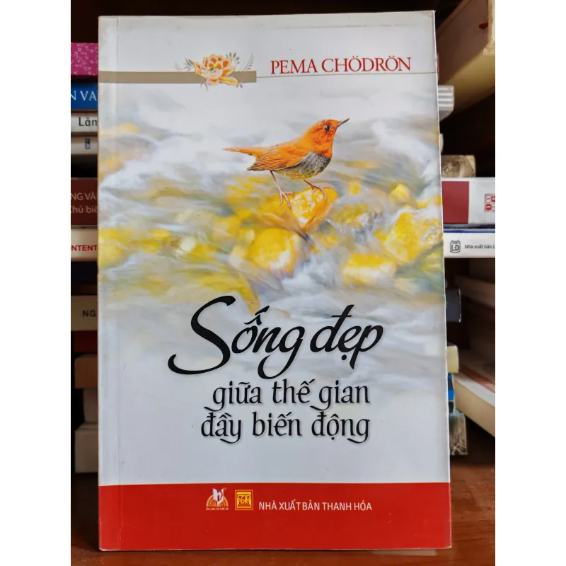 Sống đẹp giữa thế gian đầy biến động 757584