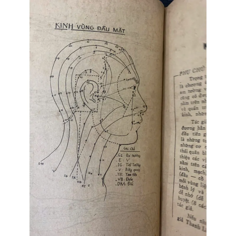 TÔI HỌC KHOA CHÂM CỨU - NGUYỄN VĂN SẮNG 1001245