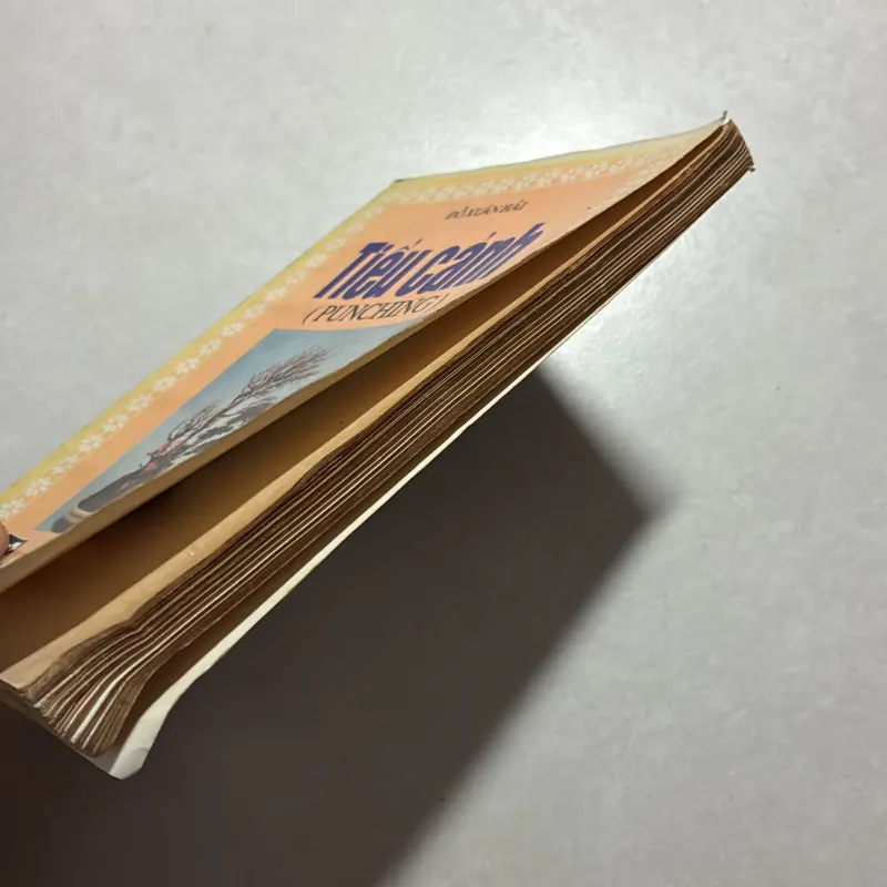 Tiểu Cảnh - Đỗ Xuân Hải 760189